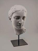Figuur - Testa di Venere - 25 cm - Gips, Antiek en Kunst