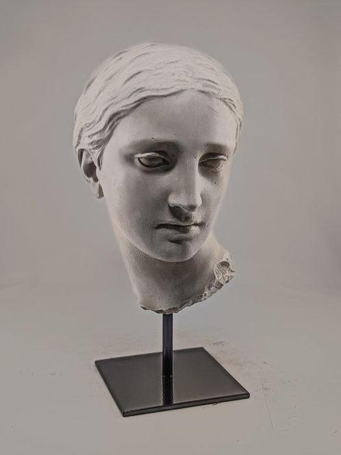 Figuur - Testa di Venere - 25 cm - Gips, Antiek en Kunst, Curiosa en Brocante