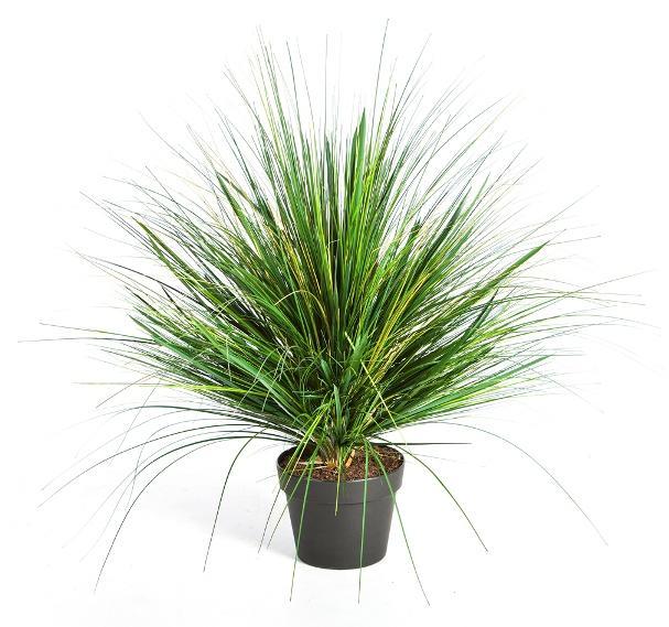 Kunstplant Onion Gras Groen 50 cm, Huis en Inrichting, Kamerplanten, Verzenden