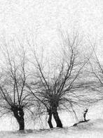 Franco Turcati - Langhe Inverno (065)