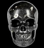 486 g fossiele schedel Shiva stone crinoïde muschelsteen