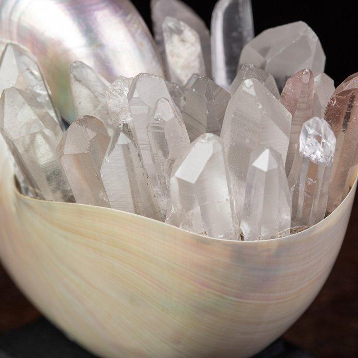 M.A.G. Design - Crystallized Nautilus Natuurlijke parelmoer, Verzamelen, Mineralen en Fossielen
