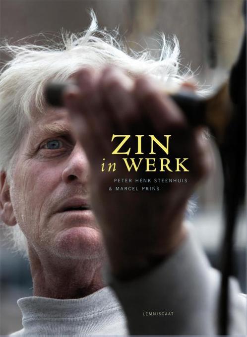 Zin in werk 9789047705536 Peter Henk Steenhuis, Boeken, Politiek en Maatschappij, Gelezen, Verzenden