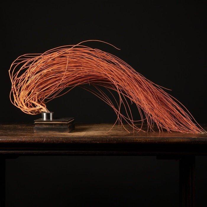 Forme incroyable - Gorgonia Rossa à pince Support de corps, Collections, Collections Animaux