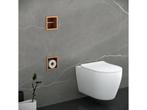 Veiling - Inbouw Reserve- en Toiletrolhouder – Geborsteld