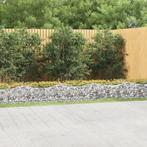 vidaXL Lit surélevé à gabions arqué 800x100x50 cm Fer, Tuin en Terras, Verzenden