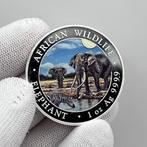 Somalië. 100 Shilling 2026 – African Wildlife Series –, Postzegels en Munten