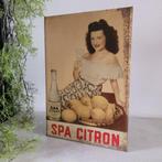 Spa Bronwater, Reclamebord, 1930-1940 - Panneau - Métal, Antiek en Kunst