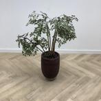 Tweedehands Stenen plantenbak met kunstplant,  108 cm, Huis en Inrichting, Kamerplanten