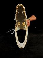 crâne de crocodile Support de corps entier pour taxidermie -