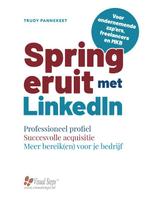 Spring eruit met LinkedIn 9789059056756, Livres, Informatique & Ordinateur, Trudy Pannekeet, Verzenden