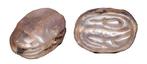 Egypte Stone Ancient Egyptian scarab Seal. c. 1750 - 1570