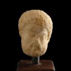 Oud-Romeins Albast Nubian head, zeldzaam. (of Heraklès -