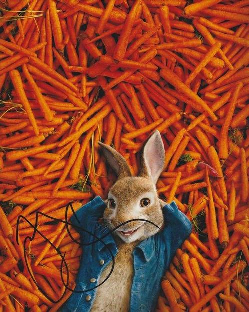Peter Rabbit - Signed by James Corden (Peter Rabbit), Cd's en Dvd's, Dvd's | Tekenfilms en Animatie