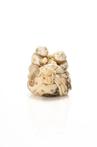 Netsuke - Olifanten ivoor - Een grote okimono-netsuke met