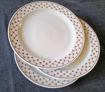 Richard Ginori - Tafelservies (12) - Keramiek - Gestileerde