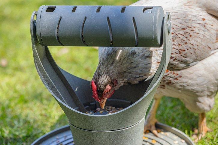 Beeztees speel & snacktoren 100% gerecycleerd plastic, Dieren en Toebehoren, Pluimvee | Toebehoren, Nieuw