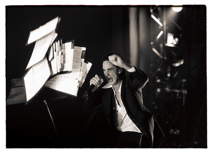 Roberto Cavalli - Nick Cave, Let love in / bad seeds black, Antiek en Kunst, Kunst | Designobjecten