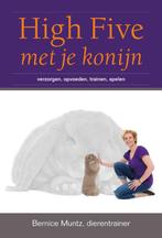 High Five met je konijn 9789081771306 Bernice Muntz, Boeken, Verzenden, Gelezen, Bernice Muntz