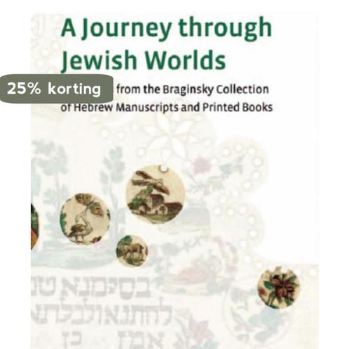 Journey through Jewish Worlds Braginsky Collection, Boeken, Taal | Engels, Gelezen, Verzenden