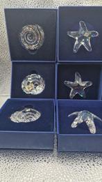 Swarovski - Figurine - Swarovski (zeester en schelpen) (6) -