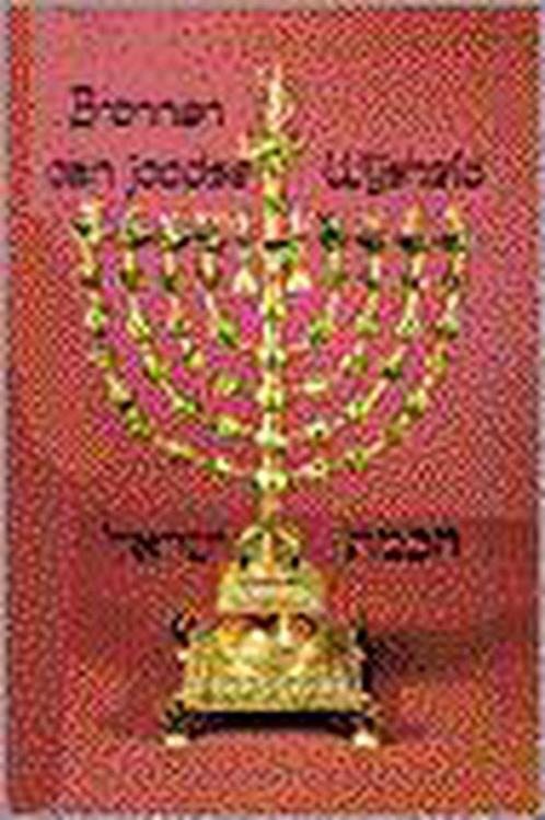 BRONNEN VAN JOODSE WIJSHEID 9789067611466 e, Boeken, Stripverhalen, Gelezen, Verzenden