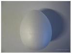 Oasis Styropor ei vol 8 cm. dicht piepschuim ei, Nieuw