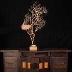 Bruine Gorgonian op houten voet Taxidermie volledige montage, Nieuw
