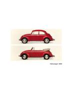 1965 VOLKSWAGEN KEVER KLEUREN BROCHURE DUITS, Ophalen of Verzenden, Nieuw