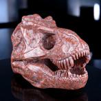 Tyrannosaurus Rex - Gesneden schedel. Majestueuze rode