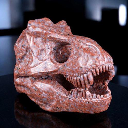 Tyrannosaurus Rex - Gesneden schedel. Majestueuze rode, Verzamelen, Mineralen en Fossielen