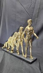 Curiosity cabinet- Human evolution in progress - resin