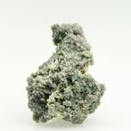 Violet Lavender FISH Grape Agate variété chalcedoine Groupe