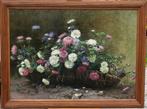 Albert Bru (XIX) - Still life of flowers (daisy)