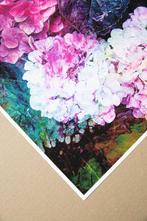 Viet Ha Tran - Hortensia I