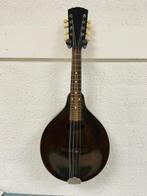 Gibson A junior mandoline, Musique & Instruments, Instruments à corde | Mandolines, Ophalen