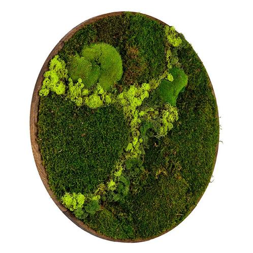 Mosschilderij Rond 120 cm Donker Eiken - Svendborg Lentegroe, Maison & Meubles, Accessoires pour la Maison | Cadres, Envoi