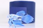 Figuur - Swarovski - Siamese Vechtvis Blauw (Boxed +