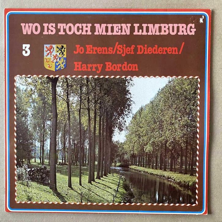 Diverse Artiesten – Wo Is Toch Mien Limburg 3 (1-12-Vinyl-L, Cd's en Dvd's, Vinyl | Nederlandstalig, Ophalen of Verzenden