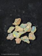 56 ct - 11x natuurlijke edele ruwe Welo-opalen, prachtig, Collections