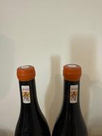 2022 Domaine Mayard Chateauneuf du pape -, Nieuw