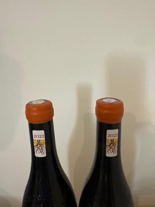 2022 Domaine Mayard Chateauneuf du pape -, Verzamelen, Wijnen