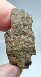 Carbonatische meteoriet CO3, NWA 16415. Geen minimale