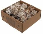 Leucodendron Plumosum op draad White wash doos 25 stuks, Huis en Inrichting, Woonaccessoires | Kunstplanten en Kunstbloemen, Nieuw