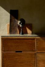 Beeld, NO RESERVE PRICE - Stunning human skull no jaw on a