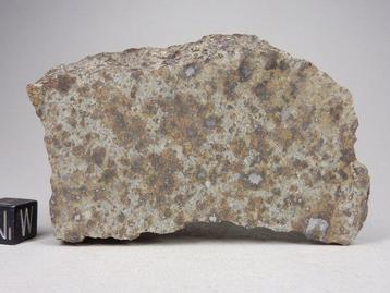 NWA non classé Sahara Météorite en pierre - extrémité coupée