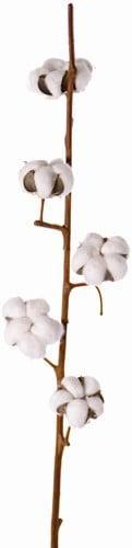 Katoen tak cotton spray premium quality kunstbloem 5 bloemen, Huis en Inrichting, Woonaccessoires | Kunstplanten en Kunstbloemen