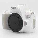 Canon EOS 250D body wit | Tweedehands, Audio, Tv en Foto, Verzenden, Zo goed als nieuw, Canon