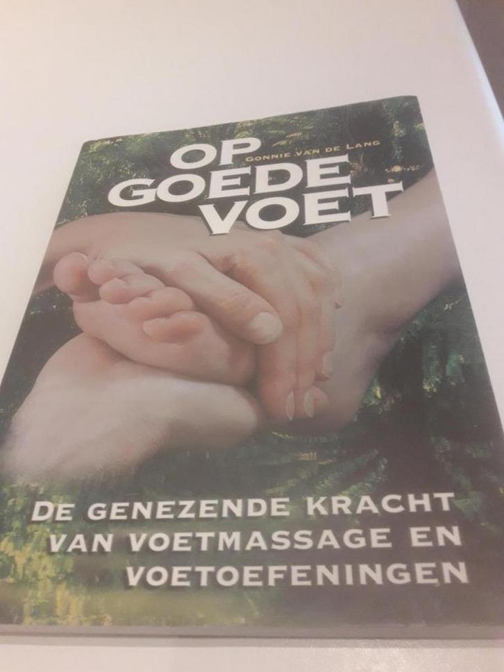 Op goede voet 9789076141145 G. van de Lang, Boeken, Overige Boeken, Gelezen, Verzenden