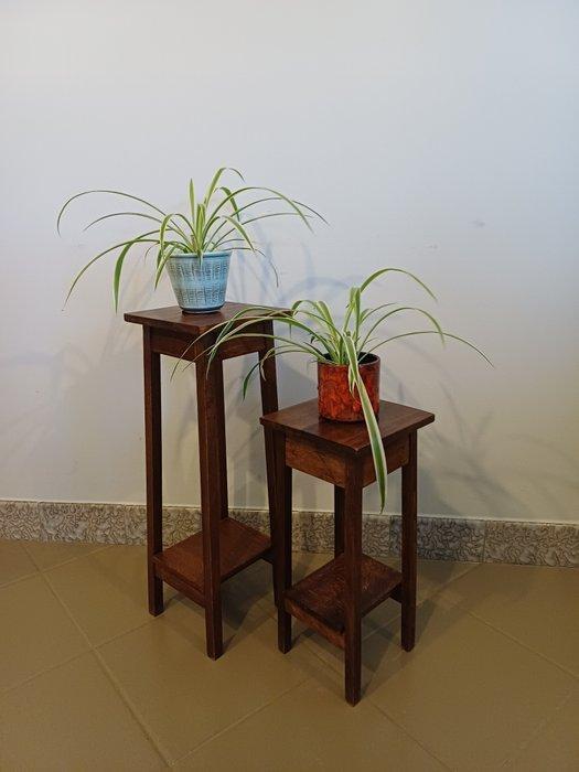 Plantentafel (2) - Eik - set houten plantentafels, Antiek en Kunst, Kunst | Designobjecten